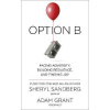 Option B - Facing adversity, Building Resistence and Finding Joy