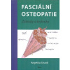 Strunk Angelika: Fasciální osteopatie - Základy a techniky (Přehledná systematizace fascií, možnosti jejich diagnostiky a terapie i rychlý screening. V knize najdete všechny informace z osteopatického