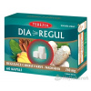 Terezia Company DIAREGUL 60 kapsúl