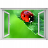 Self -adhézne 3D okno Biedronka Insect 90x60 (Self -adhézne 3D okno Biedronka Insect 90x60)