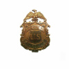 Odznak zástupcu US Marshal 8,2 cm - zlatá