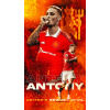 CUKROVÁ TLAČ jedlý obrázok na tortu Cukrová hmota Antony Santos Anthony Mancheste