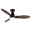 GLOBO GALE 03671B