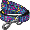 Vodítko nylon 25mmx122cm WAUDOG India