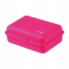 Oxybag box na desiatu rose mat