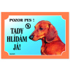 Dafiko Tabulka Tady hlídám! Jezevčík hladkosrstý 1ks