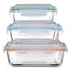 Skleneno–silikónové dózy na potraviny 3 ks Freska – Premier Housewares