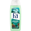 FA sprchový gél 250ml Northem Lights