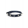 Fetish B - Séria Obojok s cvočkami 2 cm - Fetish Boss Series Studs Collar 2 cm