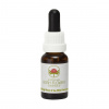 Australian Bush Flower® Dog Rose of the Wild Forces