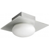 Stropné svetlo Prezent 25098 - Kúpeľňové stropné svietidlo CUSCO 1xG9/40W/230V IP44 (55179)