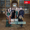 BABORAK RADEK: MOZART: HORNOVE KONCERTY CD