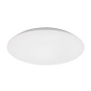 Rabalux 71123 RORIK LED stropné svietidlo