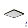 Vonkajšie stropné svietidlo PREZENT CORDIA BLACK SQ 27311 vhodné do kúpeľne