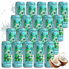 20 x sýtená kokosová voda Coconaut 0,32 l