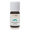 Mäta kučeravá spearmint éterický olej - Hanus Objem: 10 ml