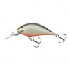 Wobler SALMO Hornet 6S GS