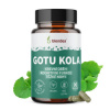 Blendea Gotu kolesa 90 kapsúl