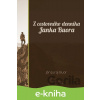 E-kniha Z cestovného denníka Janka Buora - Ján Juraj Buor