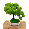Machový bonsaj 45cm II.