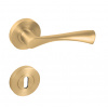 Kľučka na dvere MP - SPIRIT - R ZLM - zlatá matná (SATIN BRASS) PZ Rozeta