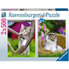 RAVENSBURGER Puzzle Mačiatka na vidieku 2x500 dielikov