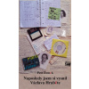 Naposledy jsem si vysnil Václava Hraběte (Petr Zemek)