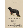 What Is a Dog? - Chloe Shaw
