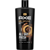 Axe sprchový gél Dark Temptation 700 ml