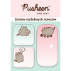 Zestaw 3 notesów ozdobnych. PUSHEEN