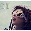Lucie • Evolucie (2LP)