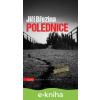 E-kniha Polednice - Jiří Březina