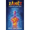 Zánět skrytý zabiják (David Frej - vyd. Eminent)