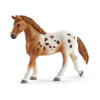 Schleich 42433 set appalooské kone a tréningové príslušenstvo