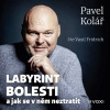 Labyrint bolesti - Pavel Kolář (mp3 audiokniha)