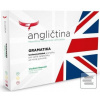 Angličtina - gramatika (Vladimír Nepustil)