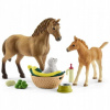 Schleich 42432 Set žriebä a Quarter kôň so šteniatkom a doplnkami