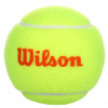 Wilson Starter Orange tenisové lopty, mäkké balenie: 1 ks