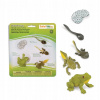 Životný cyklus žaby Safari Ltd 269129