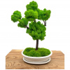 Machový bonsaj 45cm I.