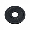 Gorilla Sports Záťažový kotúč 50/51 mm, liatina, 1,25 kg