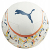 PUMA FUTBALOVÁ LOPTA NEYMAR JR GRAPHIC 08423201 veľ. 5