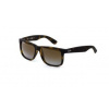 Ray Ban | Ray Ban 4165 Polarized 55 | havana