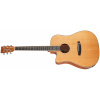 TANGLEWOOD TW5 CE NA LH