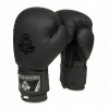 Boxerské rukavice dbx bushido b-2v12 16 oz (Muay Thai Shorts Thai Boxing Pretorian R.L)