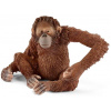 Schleich Schleich Orangutan samica OLP102614775