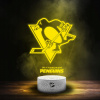 Ľad Svetlo Pittsburgh Penguins NHL