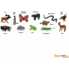 Set figúrok a príslušenstva Safari Ltd. Tuba - V lese (95866000325)