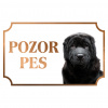 Šarpej - Kovová tabuľka POZOR PES