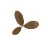 NOVRITSCH Novritsch LEAF CAMO 3D listy LC2, 50 ks - Rust
